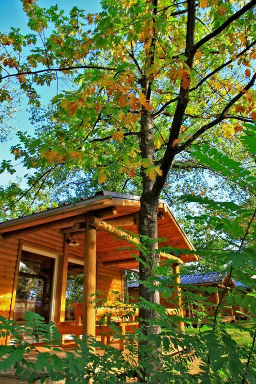 Albirondack Camping Lodge & Spa Quarto foto